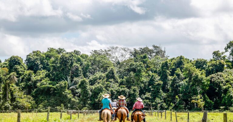 quanto vale o cavalo mais caro do mundo — O cavalo mais caro do mundo: descubra seu valor em 2026
