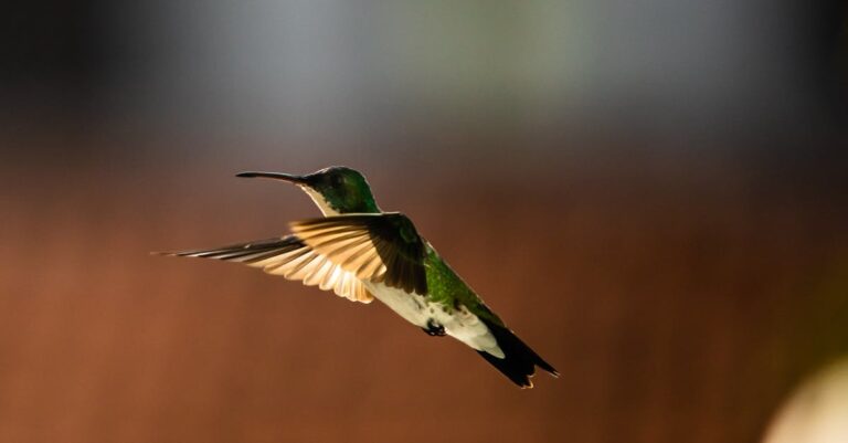 quando utilizar cinto de segurança no carro — Quando utilizar cinto de segurança para garantir sua proteção