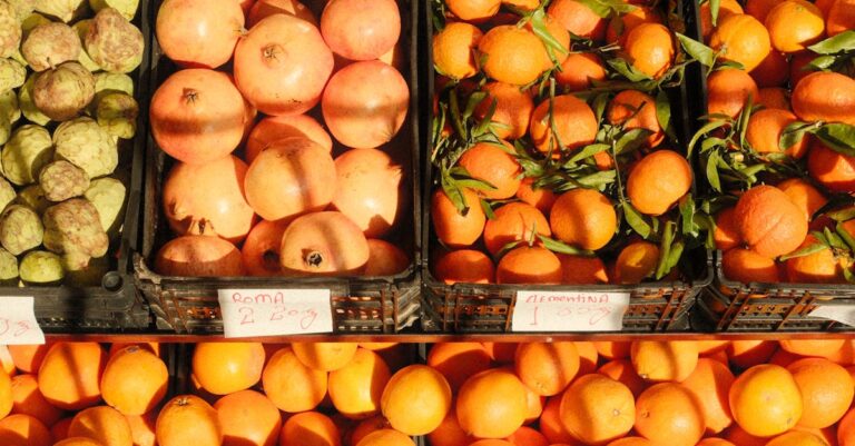 dieta ideal para cães de acordo com a saúde — Os 7 alimentos que promovem a saúde do seu cão